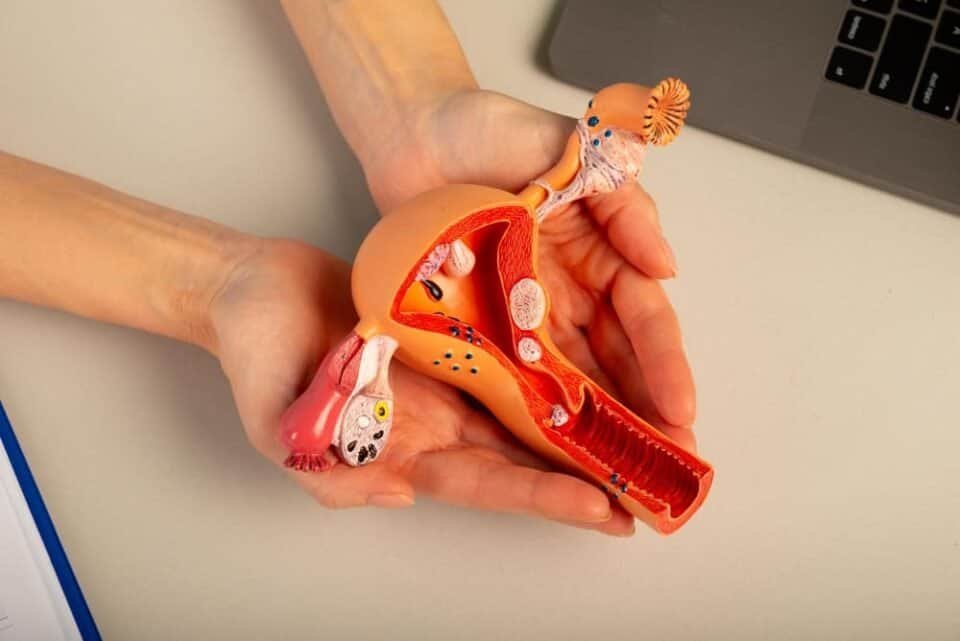 uterine artery embolization for fibroids