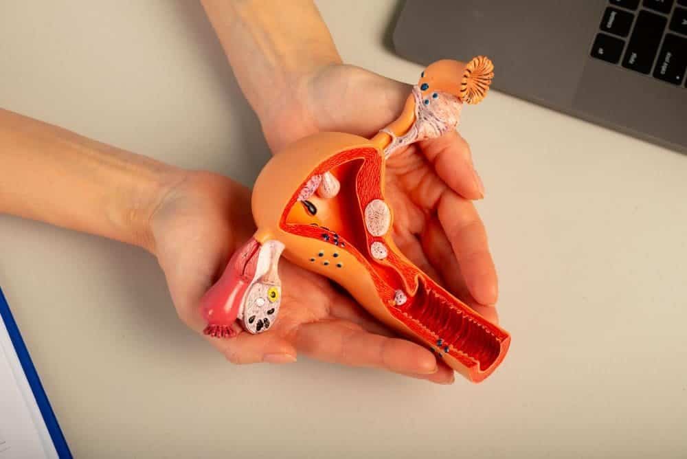 uterine artery embolization for fibroids