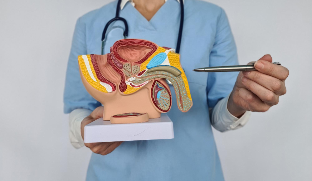 نصائح بعد قسطرة دوالي الخصية لتعافي سريع